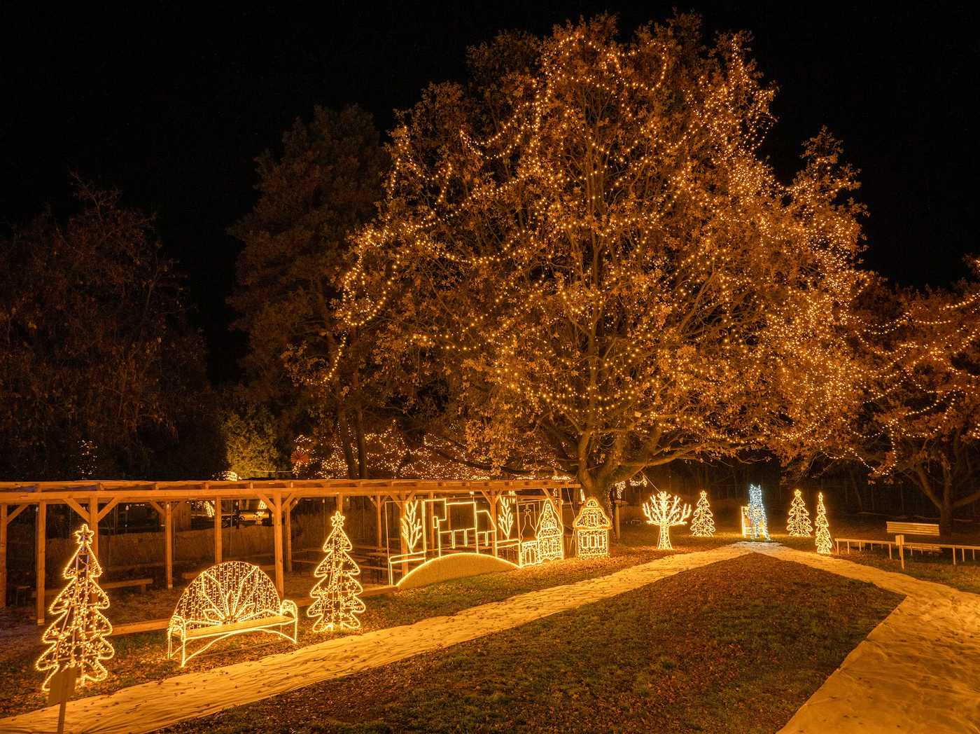 Beleuchteter Spazierweg mit leuchtenden Bäumen und Figuren
